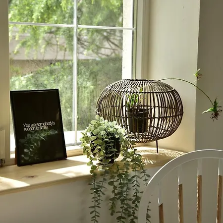 Apartment Cozy Flat In *