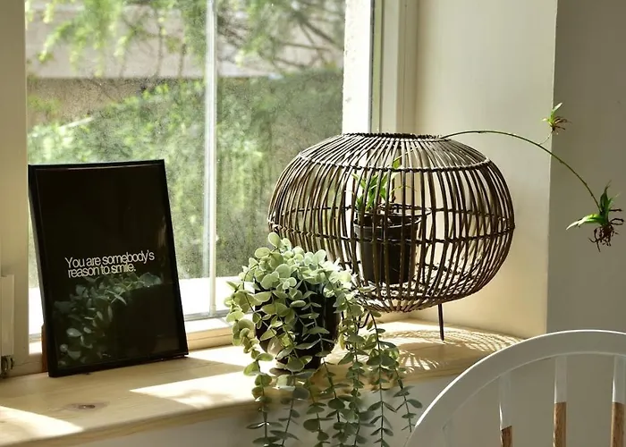 Apartament Cozy Flat In *